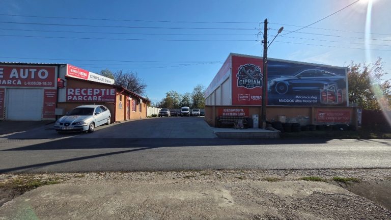 service-auto-multimarca-01